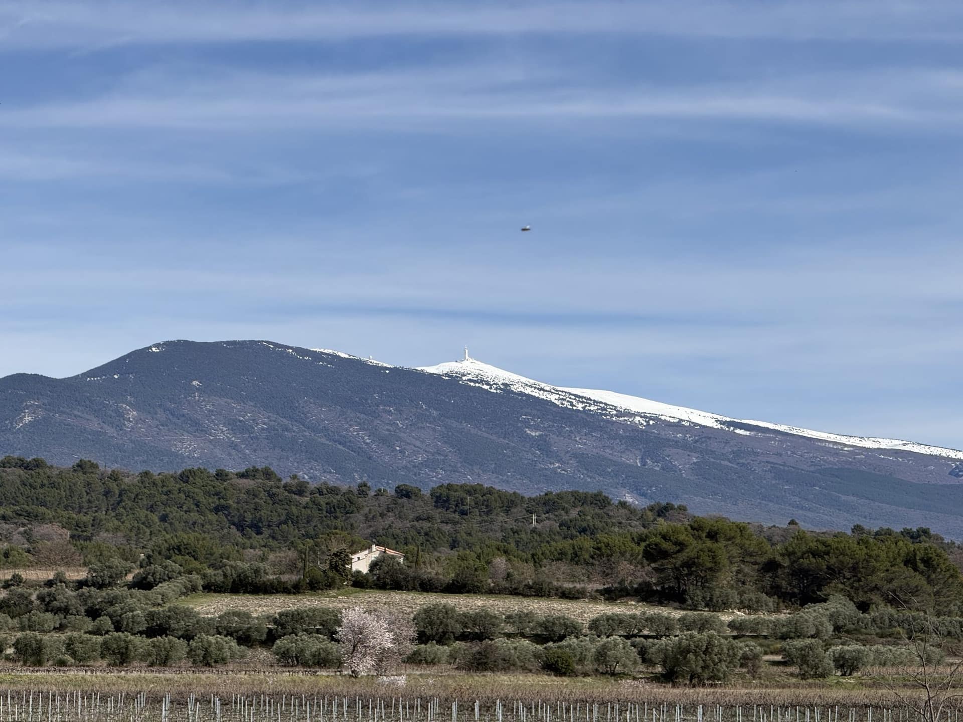 Le mont Ventoux enneigé